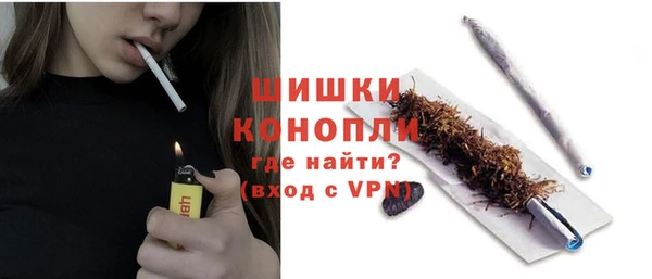 2c-b Новозыбков