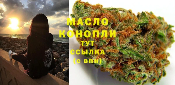 2c-b Новозыбков