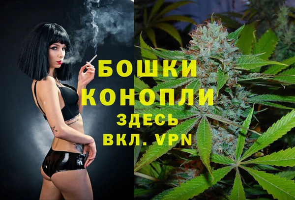 2c-b Новозыбков