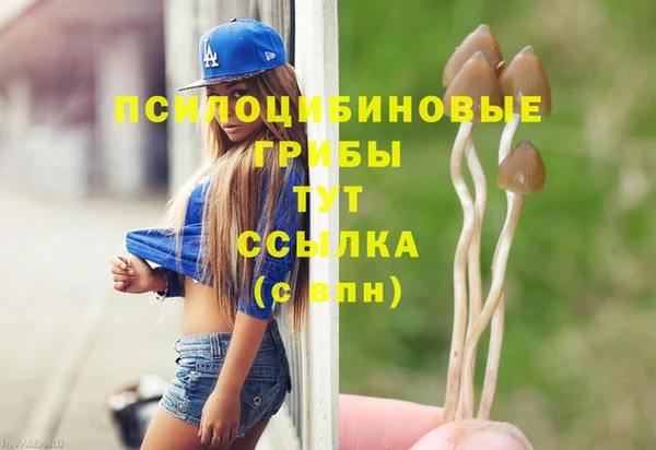 COCAINE Бикин