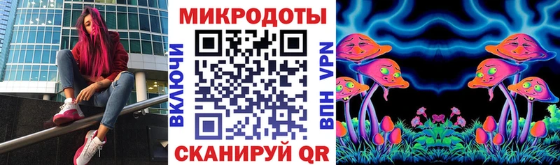 магазин    Юрьев-Польский  OMG   Галлюциногенные грибы Psilocybe 